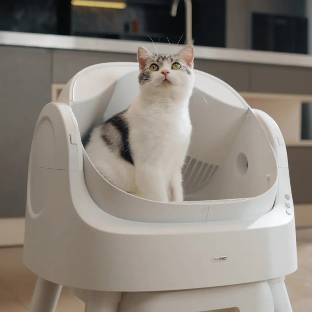 Petpivot Autoscooper 11: Open-Top Self-Cleaning Cat Litter Box with Odor Control (Trash Bags Included)