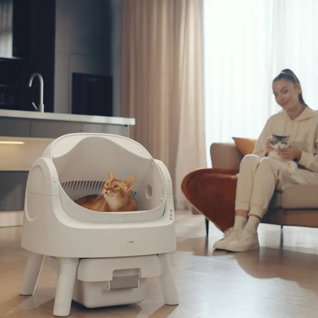 Petpivot Autoscooper 11: Open-Top Self-Cleaning Cat Litter Box with Odor Control (Trash Bags Included)