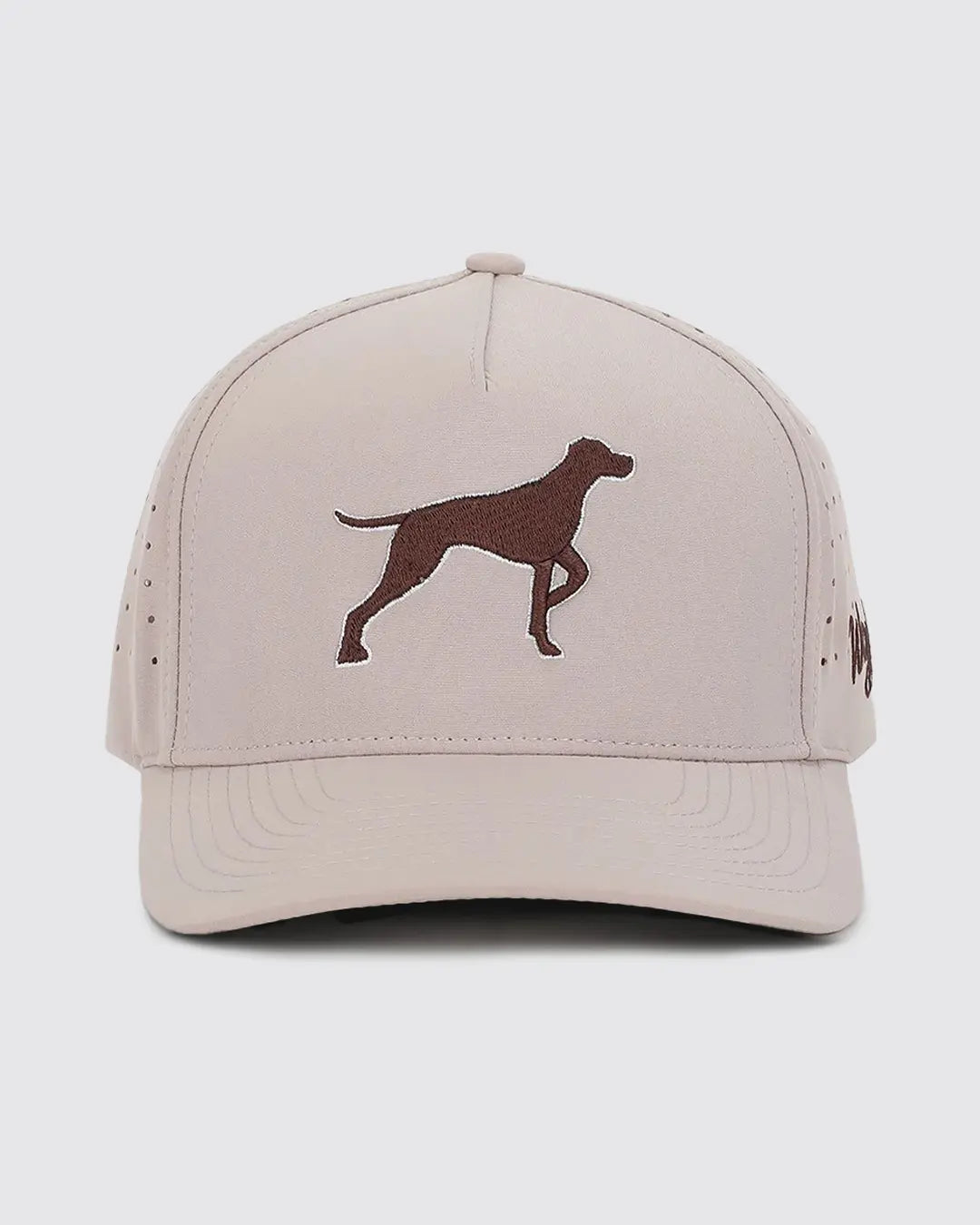  Dog Hat