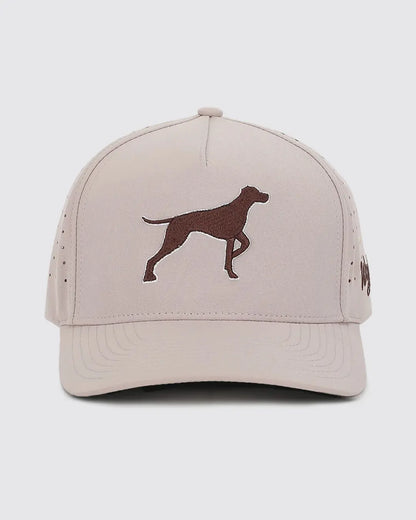  Dog Hat