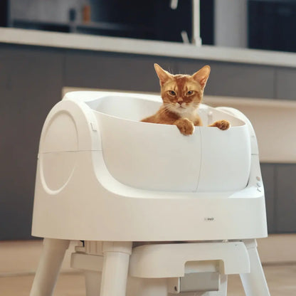 Petpivot Autoscooper 11: Open-Top Self-Cleaning Cat Litter Box with Odor Control (Trash Bags Included)