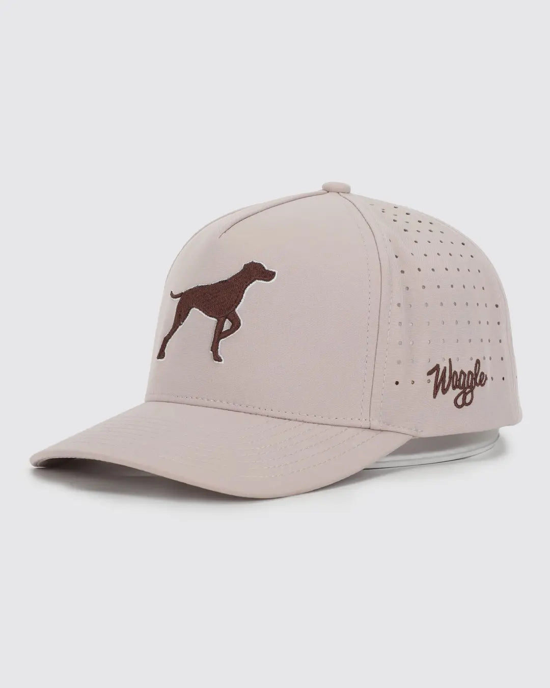  Dog Hat