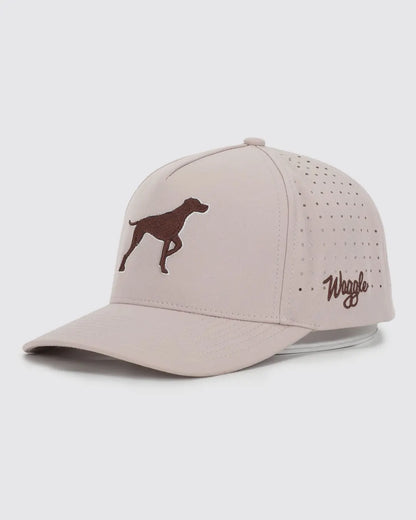  Dog Hat