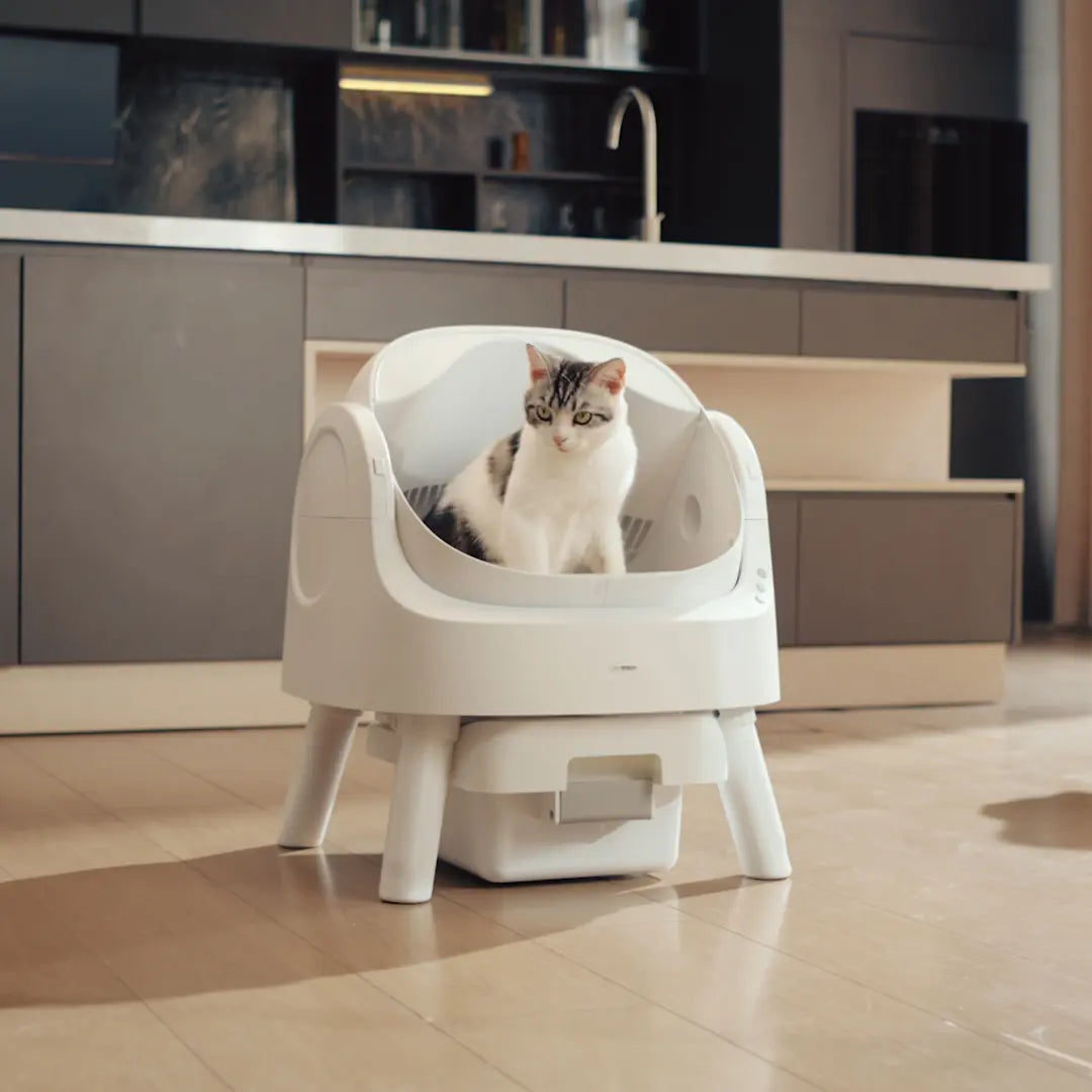 Petpivot Autoscooper 11: Open-Top Self-Cleaning Cat Litter Box with Odor Control (Trash Bags Included)
