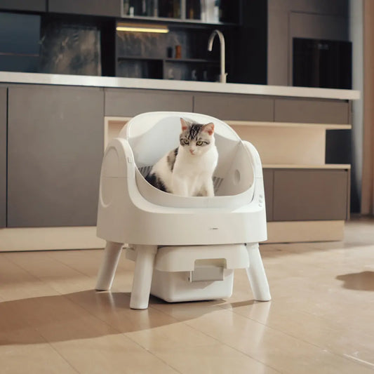 Petpivot Autoscooper 11: Open-Top Self-Cleaning Cat Litter Box with Odor Control (Trash Bags Included)